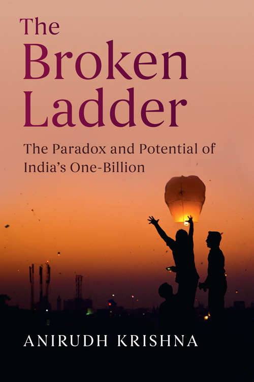 Book cover of The Broken Ladder