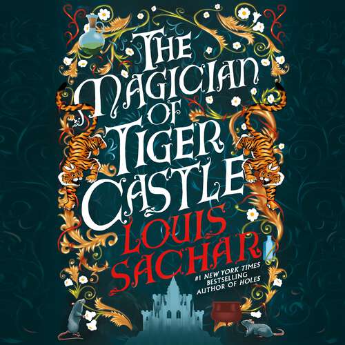 Book cover of The Magician of Tiger Castle: the highly anticipated debut adult novel from the international bestselling author