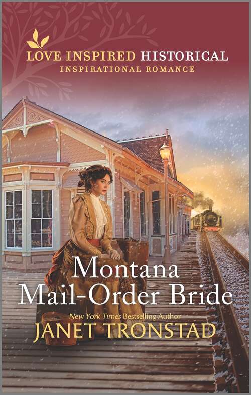 Book cover of Montana Mail-Order Bride (Original)