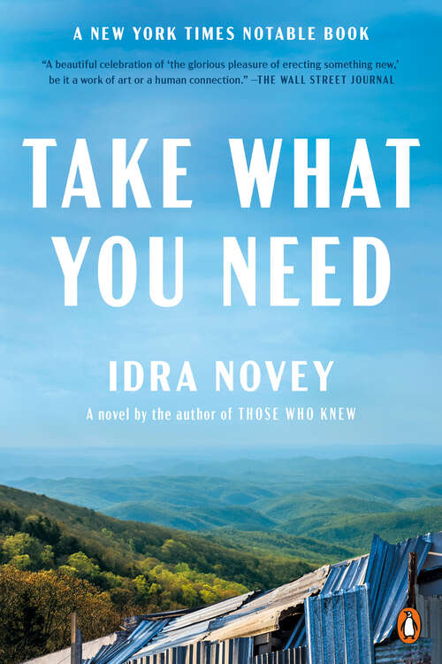 Book cover of Take What You Need: A Novel