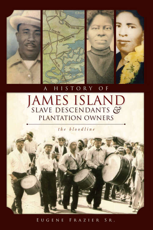 Book cover of A History of James Island Slave Descendants & Plantation Owners: The Bloodline