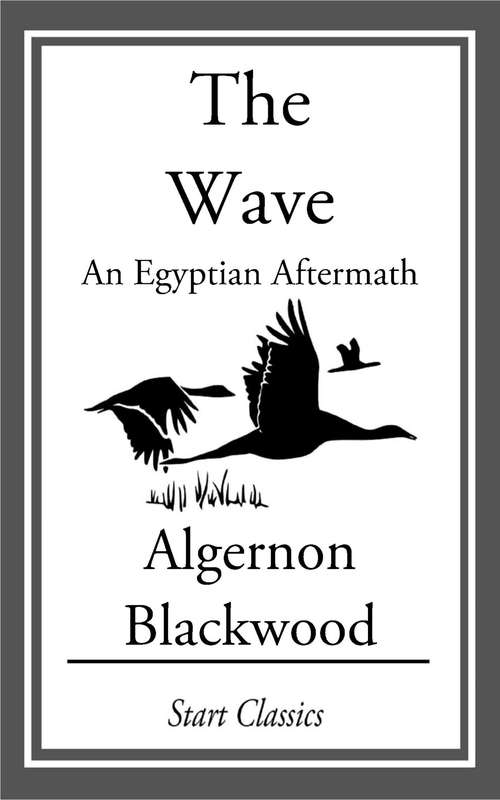 The Wave: An Egyptian Aftermath