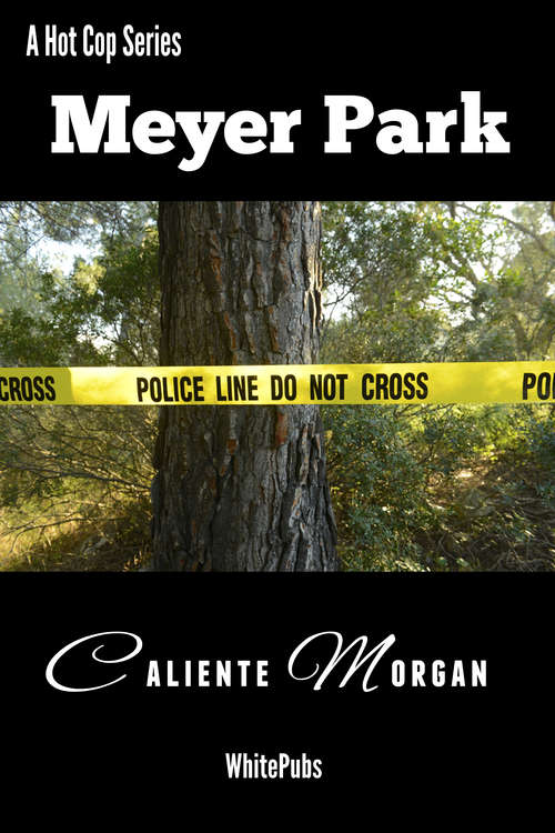 Book cover of Meyer Park