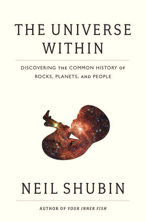 Book cover of The Universe Within