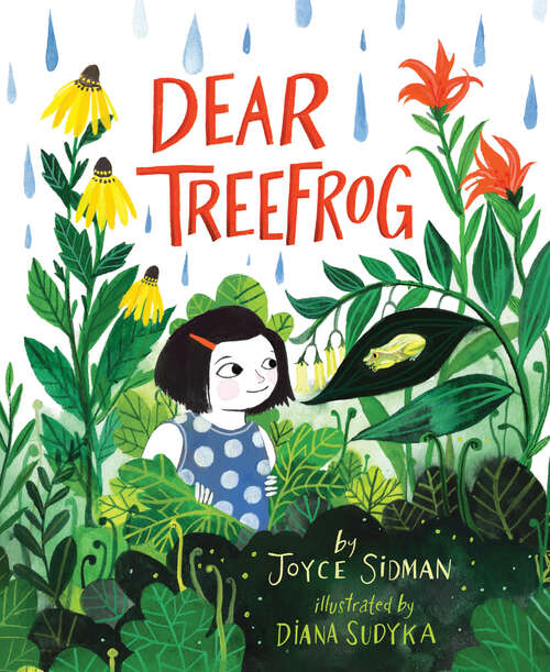 Book cover of Dear Treefrog
