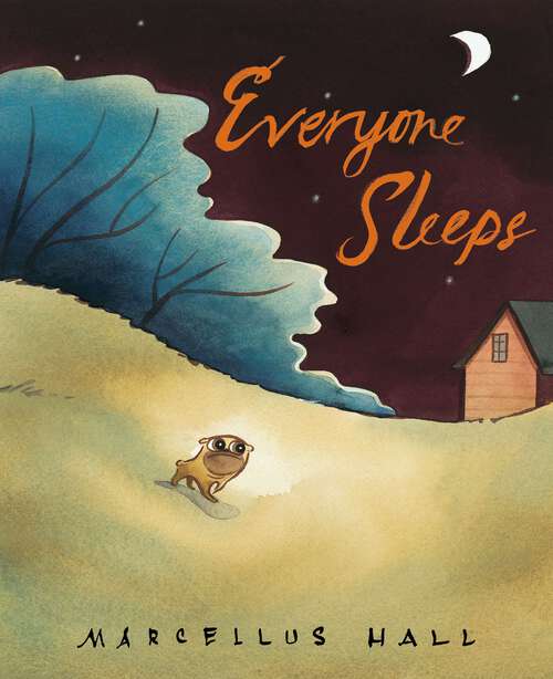 Book cover of Everyone Sleeps