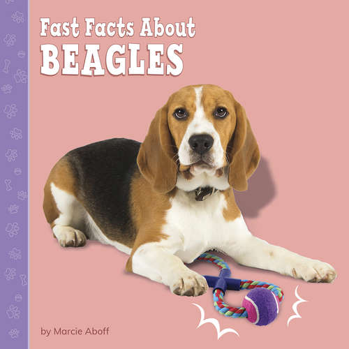 Book cover of Fast Facts About Beagles (Fast Facts About Dogs)