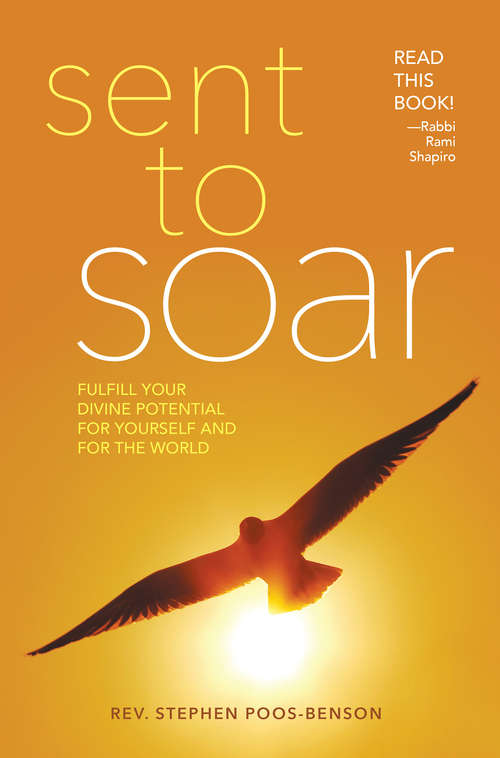 Book cover of Sent to Soar