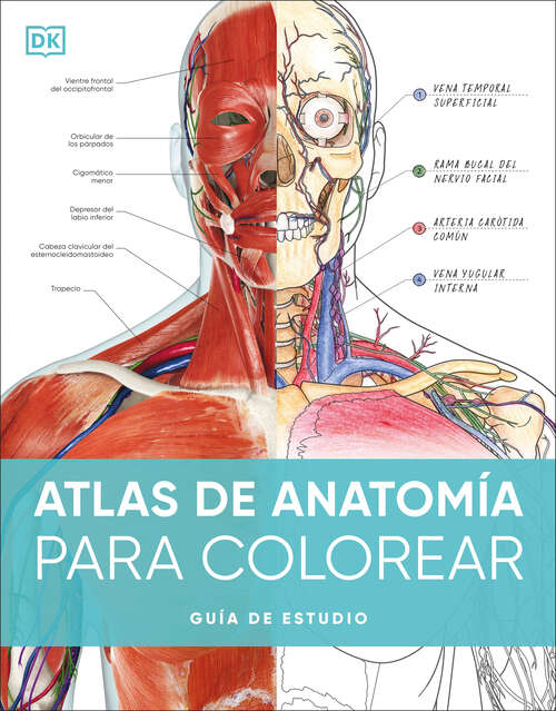Book cover of Atlas de anatomía para colorear (The Human Body Coloring Book): Guía de estudio