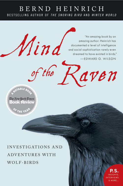 Book cover of Mind of the Raven: Investigations and Adventures with Wolf-Birds (P. S. Series)
