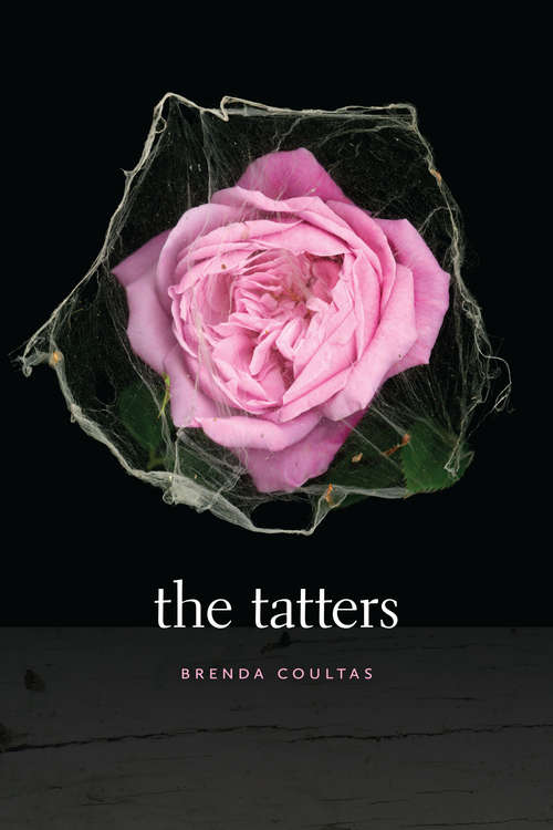 Book cover of The Tatters