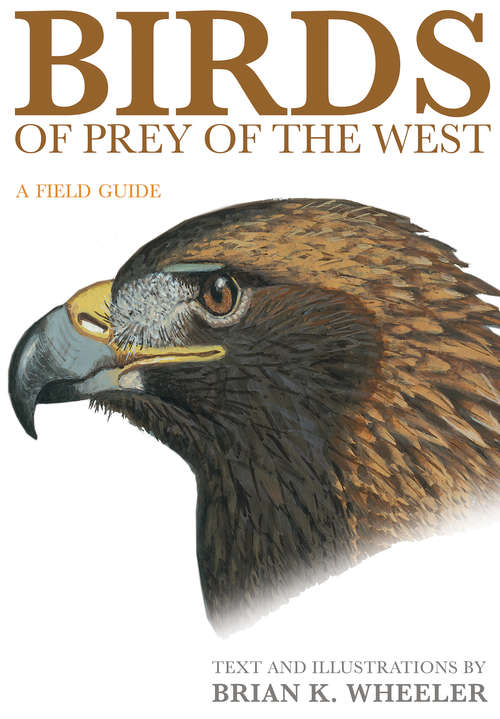 Book cover of Birds of Prey of the West: A Field Guide