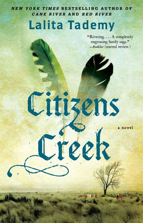 Book cover of Citizens Creek: A Novel
