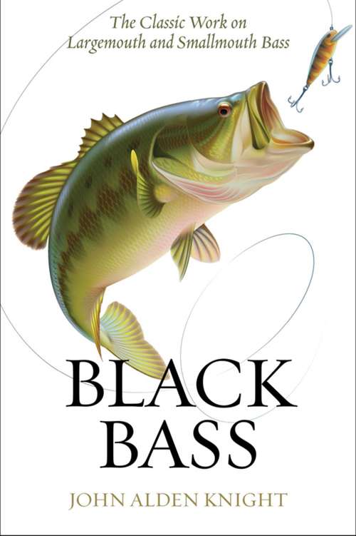 Book cover of Black Bass