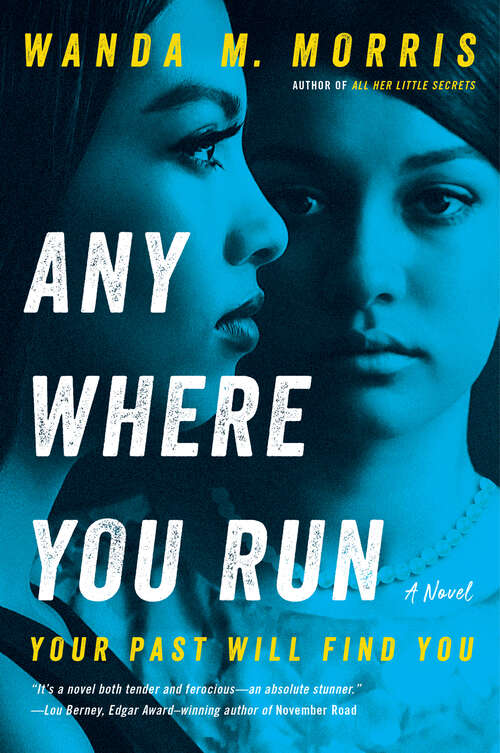 Book cover of Anywhere You Run: A Novel