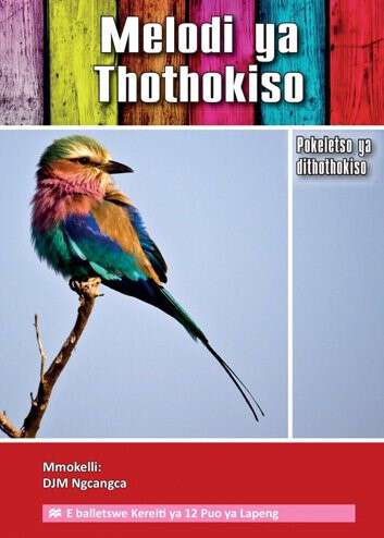 Book cover of Melodi ya Thothokiso