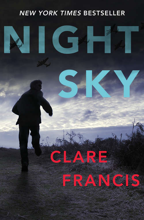 Book cover of Night Sky