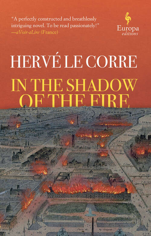Book cover of In the Shadow of the Fire