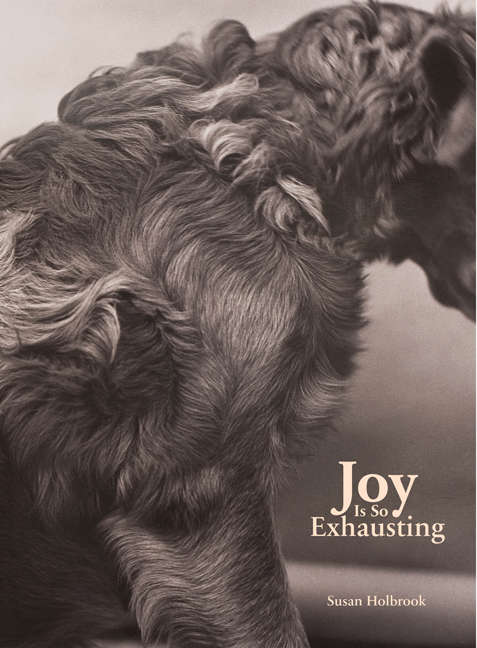 Book cover of Joy Is So Exhausting