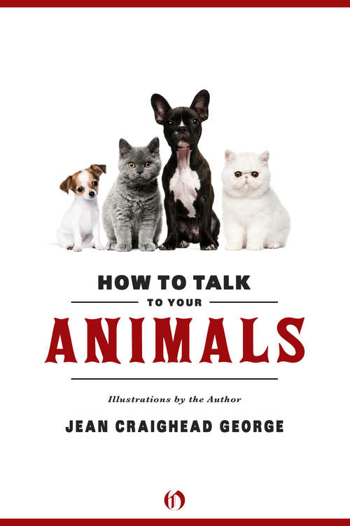 Book cover of How to Talk to Your Animals