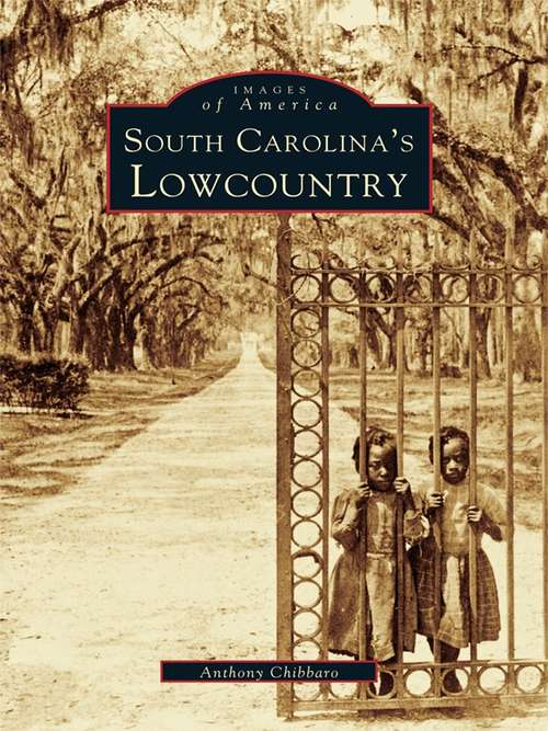 Book cover of South Carolina's Lowcountry