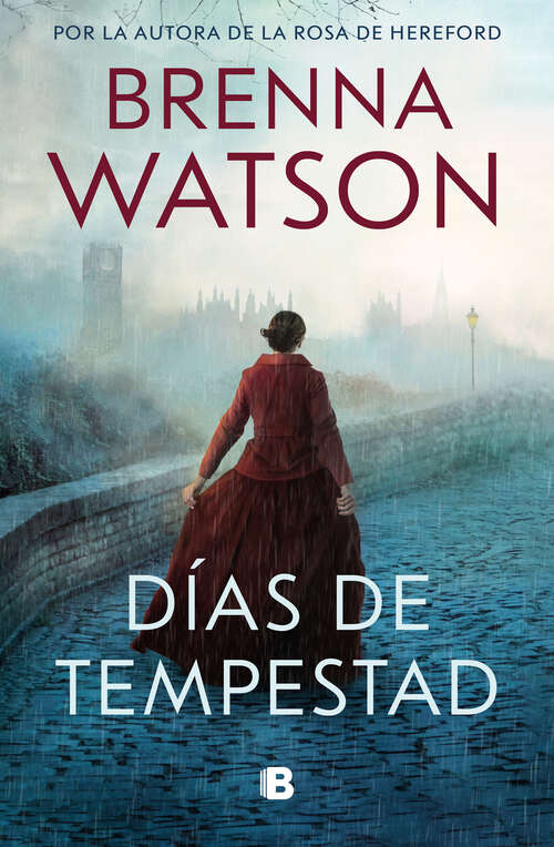 Book cover of Días de tempestad
