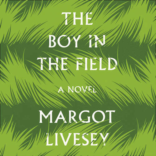 Book cover of The Boy in the Field: 'A superb family drama' DAILY MAIL