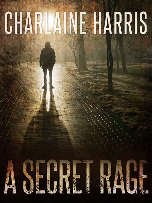 Book cover of A Secret Rage