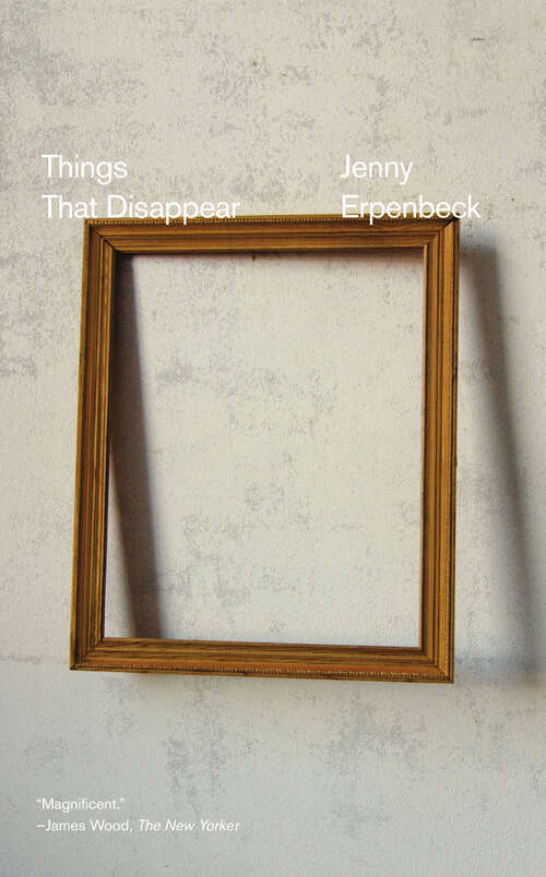 Book cover of Things That Disappear