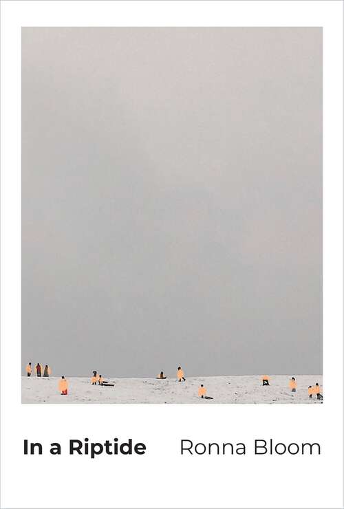 Book cover of In a Riptide