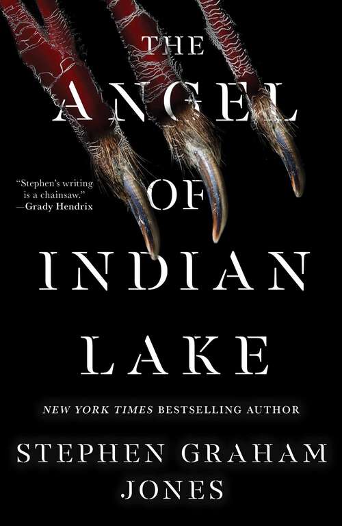 Book cover of The Angel of Indian Lake (The Indian Lake Trilogy #3)