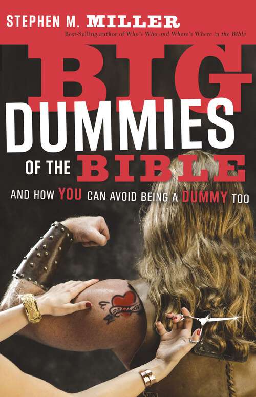 Book cover of Big Dummies of the Bible