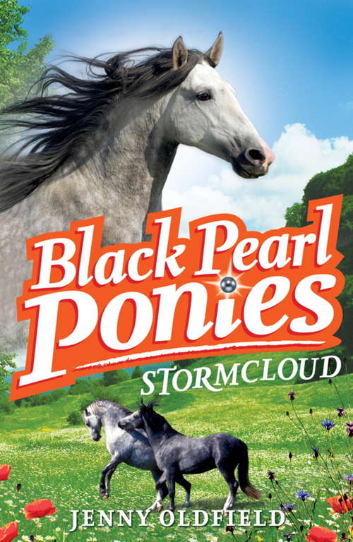 Book cover of Black Pearl Ponies: Stormcloud