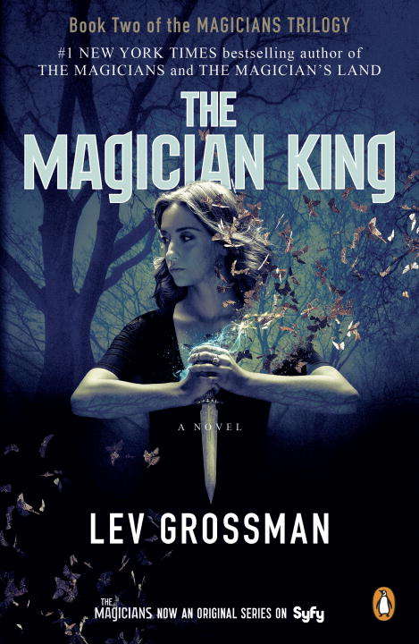 The Magician King: A Novel (Magicians Trilogy #2)