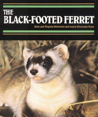 The Black-Footed Ferret (Endangered in America)