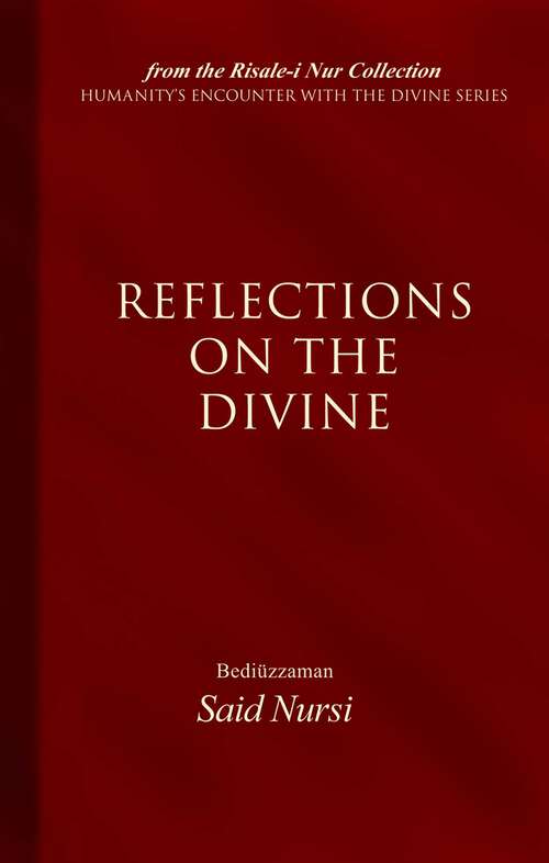 Book cover of Reflections of The Divine
