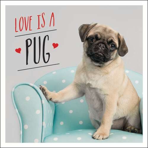 Love is a Pug: A Pugtastic Celebration of The World's Cutest Dogs