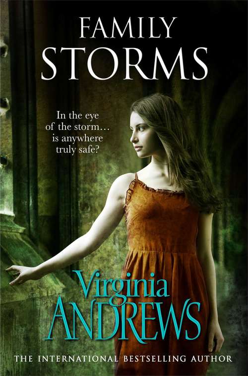 Book cover of Family Storms