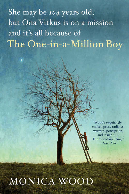 Book cover of The One-in-a-Million Boy