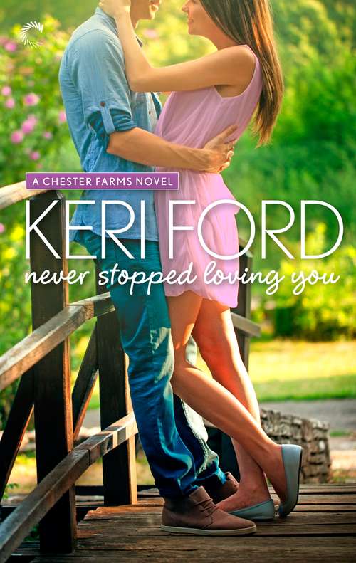 Book cover of Never Stopped Loving You