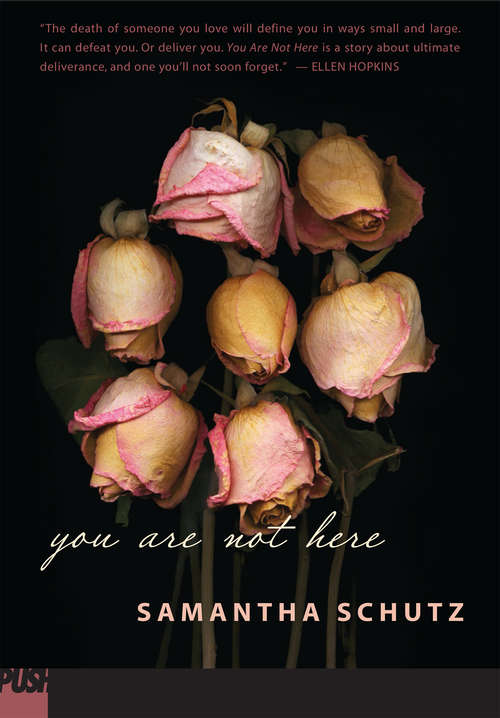 Book cover of You Are Not Here (Push)