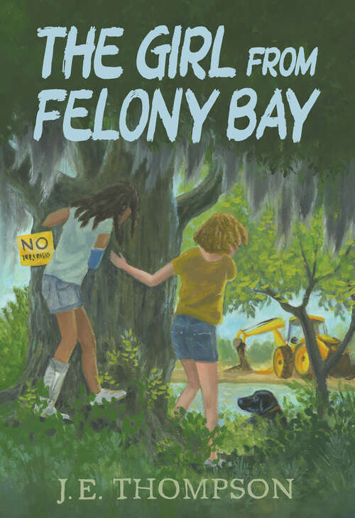 Book cover of The Girl from Felony Bay