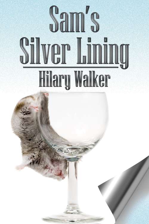 Book cover of Sam's Silver Lining