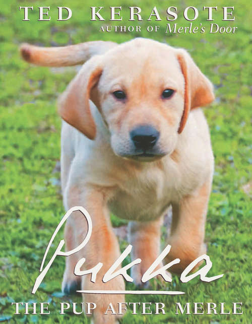 Book cover of Pukka