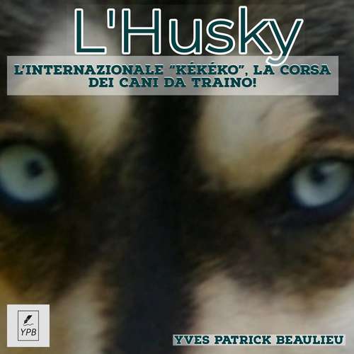 Book cover of L'Husky: L’Internazionale “Kékéko”, la corsa dei cani da traino!