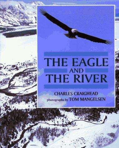 Book cover of The Eagle and the River