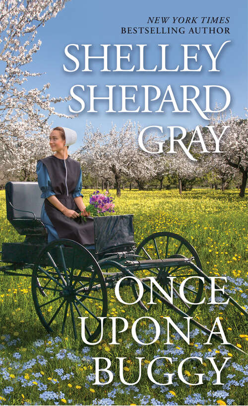Book cover of Once Upon a Buggy (The Amish of Apple Creek #2)