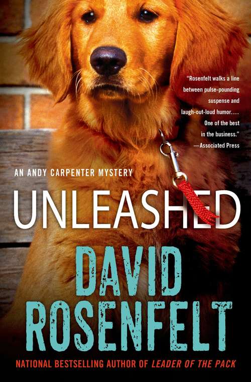 Unleashed (Andy Carpenter Book #11) 