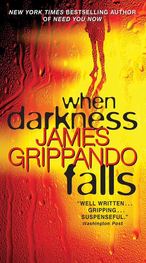 Book cover of When Darkness Falls (Jack Swyteck #6)