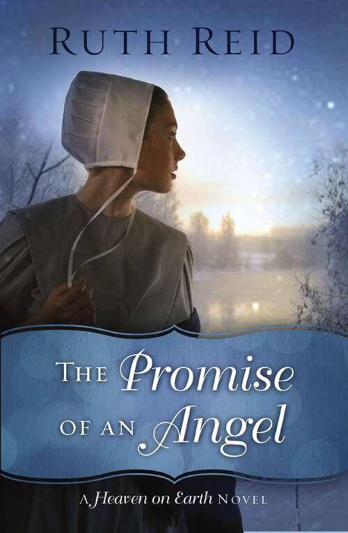 Book cover of The Promise of an Angel